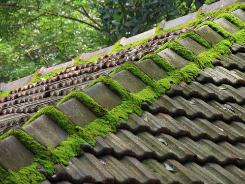 Démoussage de toiture à Villers-sous-Montrond